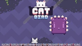 Planet Tempat Tinggal Si Kucing Bersayap Hancur Akibat Kejatuhan Meteor |Cat Bird Part 1