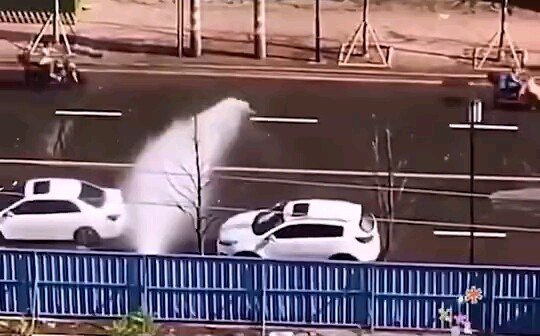 没有一个司机可以抵抗这种诱惑