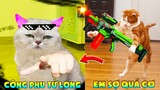 Thú Cưng Vlog | Mèo Tử Long KungFu #3 | Mèo Kungfu vui nhộn | Smart cats pets funny
