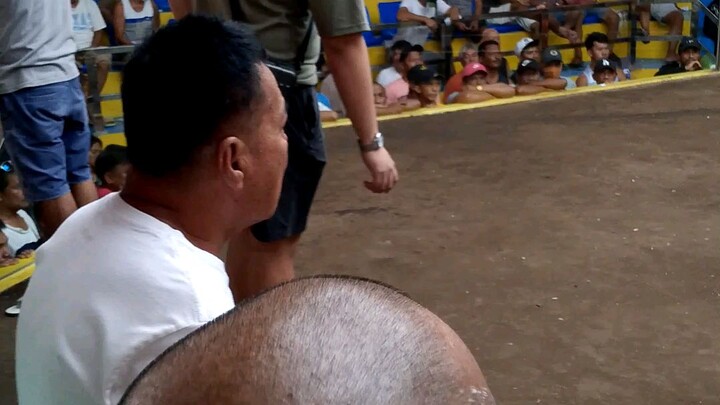 3rd Fight Champion 3 Hits Ulutan