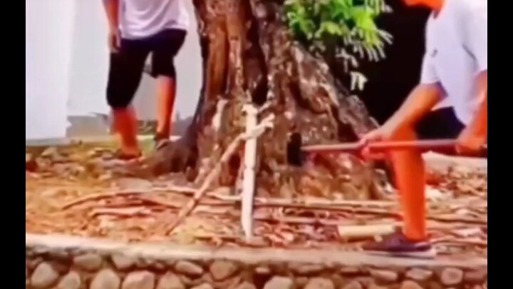 I’ve burned through all the trust I’d have for you in our next life.