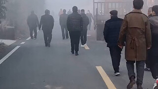 外地人：山东人是怎么拜年的？山东人：如果季节更替树叶落地...