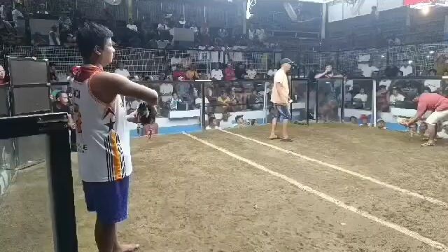 David vs Goliath🤣 dehadong dahado
