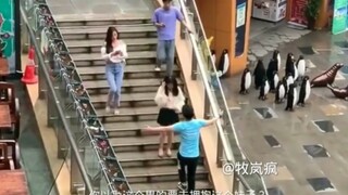 社会牛笔症！
