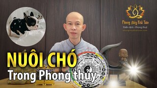 Cần Hỏa nên nuôi Chó tăng vận may | Thầy Khải Toàn - Phong thủy & Thiền Định