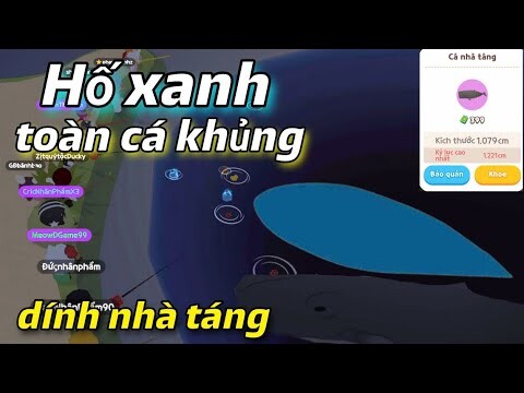 PLAY TOGETHER | BẤT NGỜ HỐ XANH CÓ NHIỀU CÁ KHỦNG DÍNH CÁ NHÀ TÁNG, MINI TẶNG GÓI PLUS