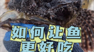 Live nanny-level teaching makes the taste of caught fish doubled