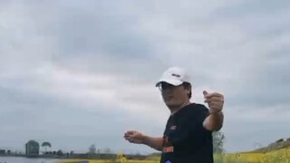 The show is amazing! The buddha dances among the flowers!