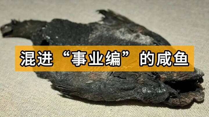 Cảm hứng! Con cá khô nằm yên hơn 2400 năm, cuối cùng cũng chen chân vào “biên chế nhà nước”