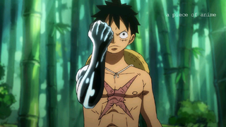 LUFFY AND ZORO TRAINEE