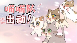 笨蛋猫咪可能会迟到，但一定不会缺席~