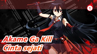 Akame Ga Kill| Orang yang memaksakan untuk menontonny pasti cinta sejati_1