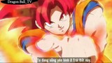 Lâu rồi chưa thấy anh Goku phô diễn tài nghệ #Dragon Ball_TV