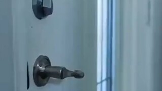 Có lẽ toàn bộ vũ trụ đều giống nhau