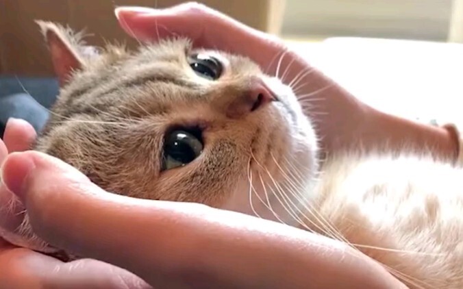 อุ้งเท้าน้อยน่ารัก