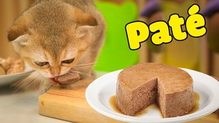 First time making pate for cat (The Happy Pets #17)