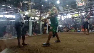 1st fight win 2hits panta derby 5k bigay agad Marabut Galleria (Samar)