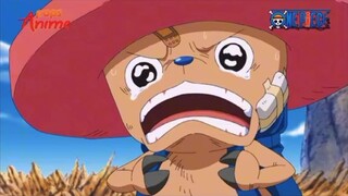 Tất cả thành viên của băng mũ rơm luôn hướng về ước mơ của luffy