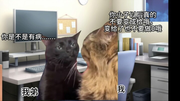 【Cat meme】I am a rotten girl and my brother is a rotten boy