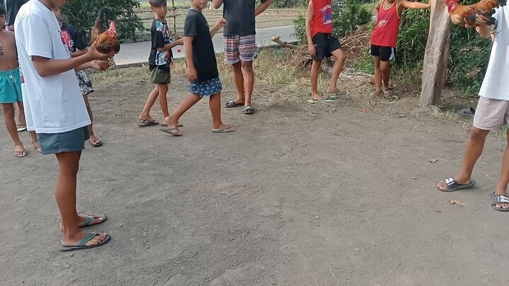 win bantam na goldXtalisayin