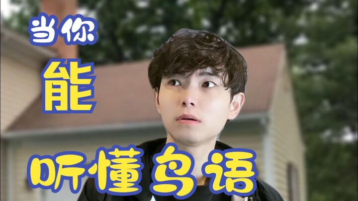 เมื่อคุณสามารถเข้าใจภาษาของนกได้