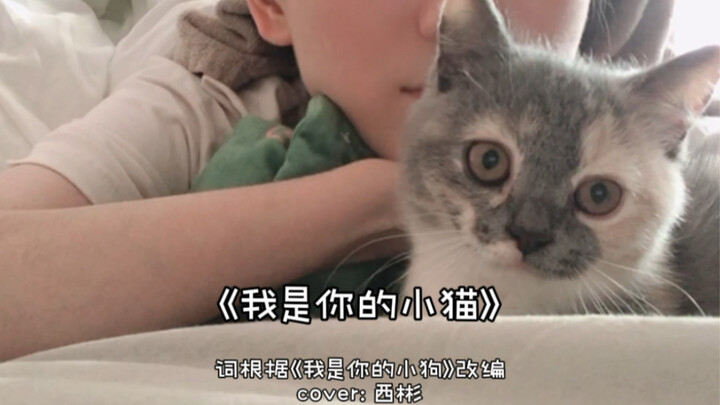 Aku adalah kucing kecilmu