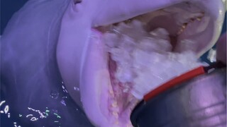 هيا نأكل مكعبات الثلج