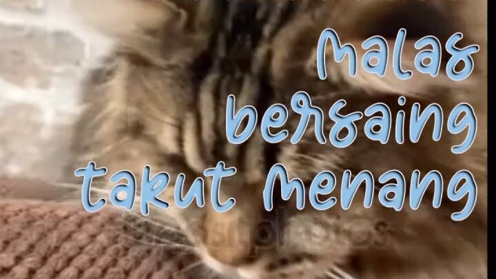 PENUNGGU POJOKAN TEMBOK