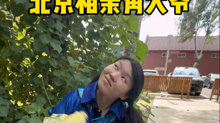 Beijing Blind Date Corner Elderly Man, as if saying: (Purely fictional portrayal, for entertainment 