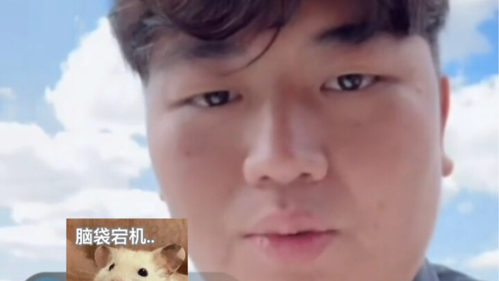 After Quan Hongchan won the championship, her brother made his first livestream, and netizens went w