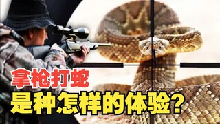外国人拿枪打蛇是种怎样的体验！