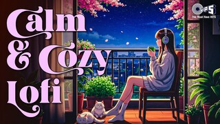 Calm _ Cozy Lofi Instrumental _Best Bollywood Instrumental Songs _Instrumental M