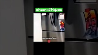 เป้าหมายมีไว้พุ่งชน