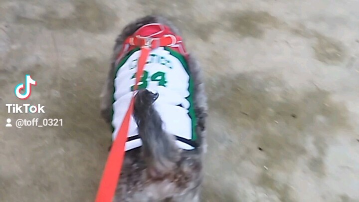 please like share and subs thanks..🥰🥰🥰https://www.youtube.com/@Kristoff_Kavonggah