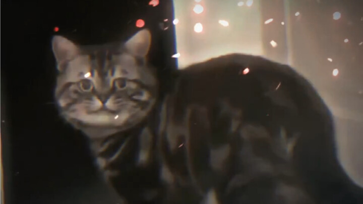 An awkward yet polite smile