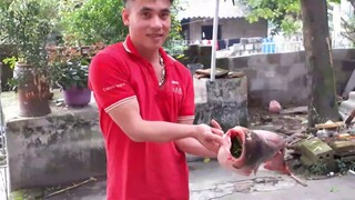 Ẩm thực Biển. Cá mè khủng luộc hành sả rất thơm ngon.và cháo cá mè