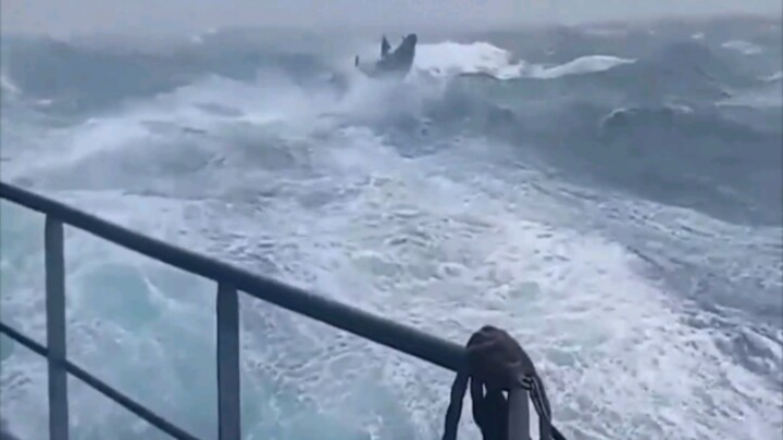 Chẳng lẽ chúng ta không thể xem dự báo thời tiết rồi hãy ra khơi sao?