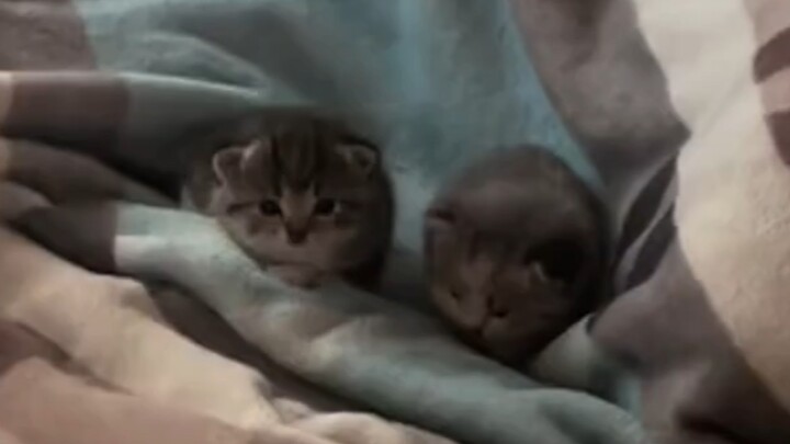 ดูดๆๆๆ… (ซ้ำไปเรื่อยๆ)