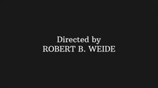 meme Directed by Robert B. Weide