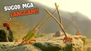 Ang KWENTO ng mga LANGAM na gumamit ng TOOTHPICK bilang ARMAS para maglunsad ng DIGMAAN sa mga TAO