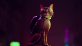 ตัวอย่างเกมเพลย์จริงของเกมผจญภัยแมว "Stray"