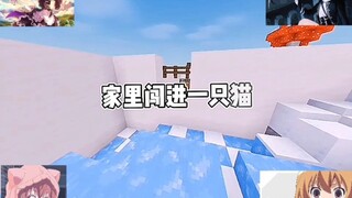 家里闯进一只猫我以为是流浪猫就养着了结果第三天看见猫主人贴的告示这时候该不该还猫？