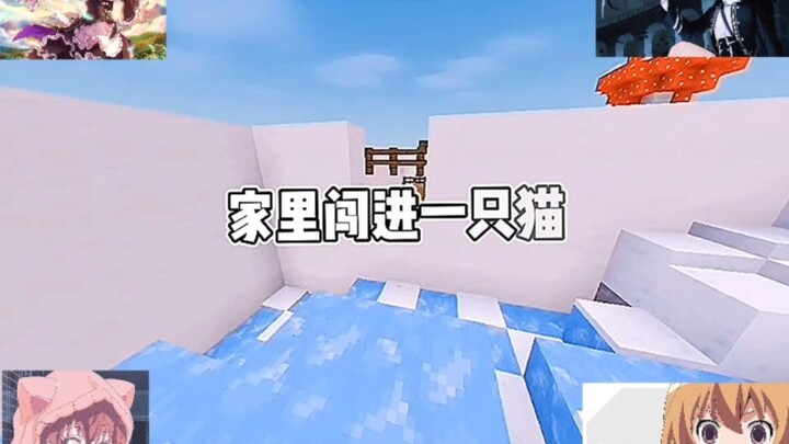 家里闯进一只猫我以为是流浪猫就养着了结果第三天看见猫主人贴的告示这时候该不该还猫？