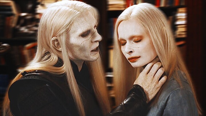“Every wound you inflict on me is felt by my twin sister.”