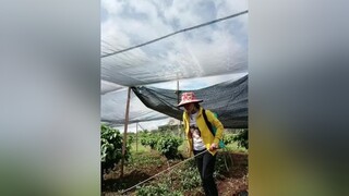 đang làm mà rủ rê ko hàhaihuocvuinhon haivl SEAGames31 hàitiktok haihuoctiktok vuivekhongquao hàihướcvuivẻ haihuocvuive