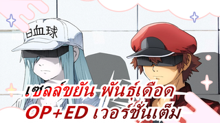 [เซลล์ขยัน พันธุ์เดือด]OP+ED เวอร์ชั่นเต็ม/POLYSICS_B