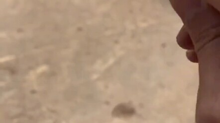 أين يمكنني شراءه؟