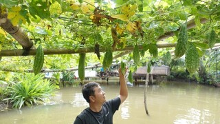 Vịt hầm khổ qua - Bin Đen Miền Tây # 229