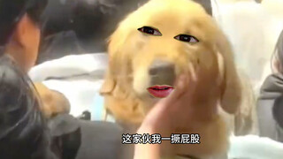预判成功