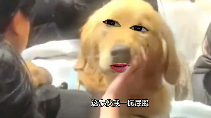 预判成功